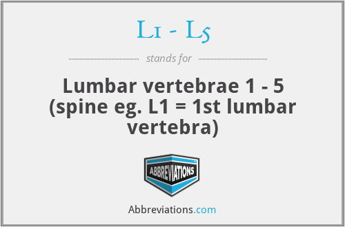L1 - L5 - Lumbar vertebrae 1 - 5 (spine eg. L1 = 1st lumbar vertebra)
